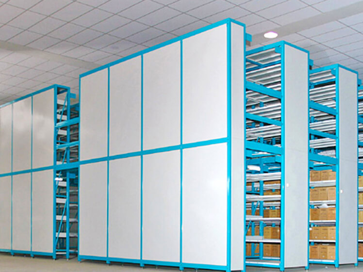 Rak Shelving Lion